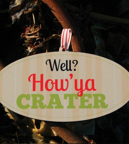 Well ? How Ya Crater Wooden Sign